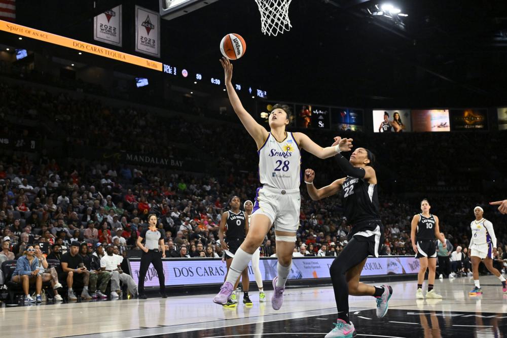 类似案例的 类似案例的